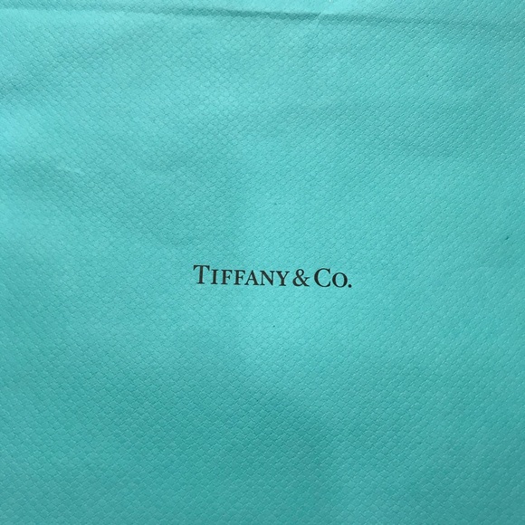 Tiffany & Co. Decorative Gift Bag Closet Decor - Picture 2 of 6